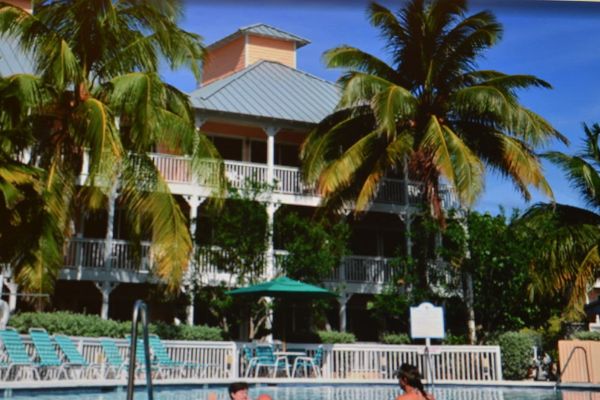 Morritt's Tortuga Club (East End)